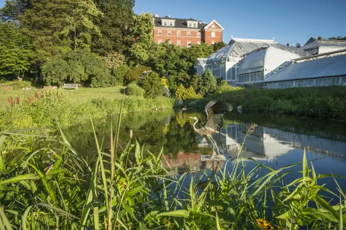 Lyman Conservatory and heron statue.